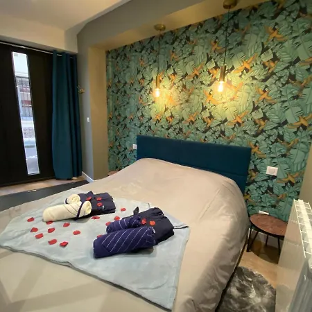 Appartement Avec Baignoire Balnéo Centre De - 040 *